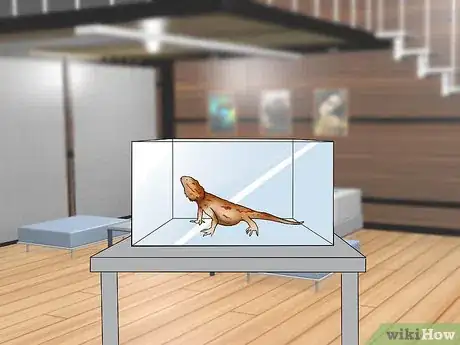 Imagen titulada Tame a Bearded Dragon Step 7