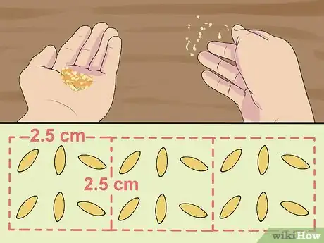 Imagen titulada Sow Grass Seed Step 7