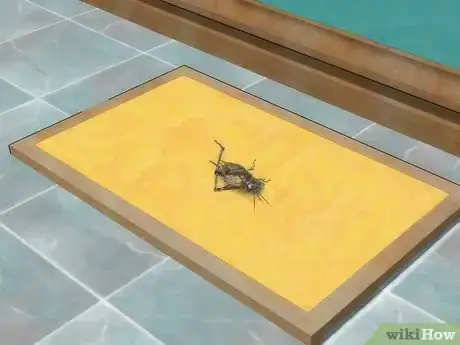 Imagen titulada Get Rid of Crickets Step 2