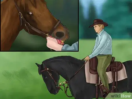 Imagen titulada Get Your Horse to Work on the Bit Step 10