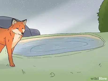 Imagen titulada Attract Foxes Step 14