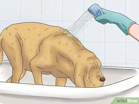 Imagen titulada Give Your Large Dog a Bath Step 18