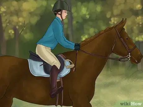 Imagen titulada Get Your Horse to Work on the Bit Step 11