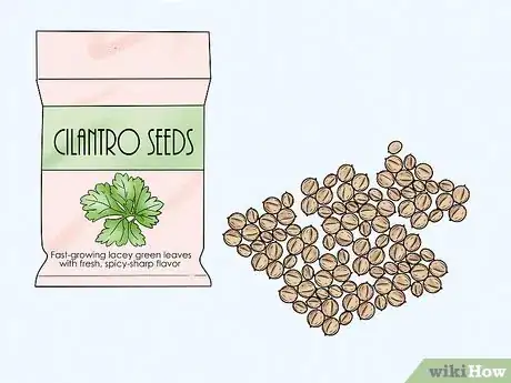 Imagen titulada Germinate Cilantro Seeds Step 2