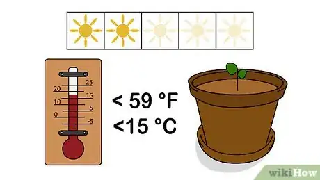 Imagen titulada Grow Patchouli Step 7