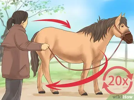 Imagen titulada Train a Horse Step 11