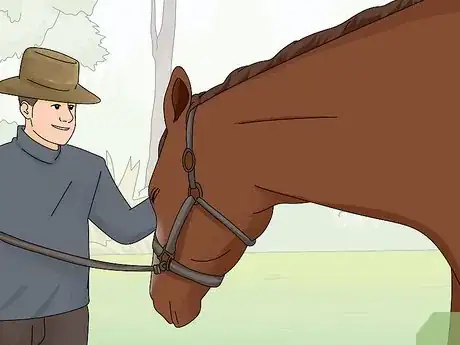 Imagen titulada Teach Your Horse to Stop Biting Step 8