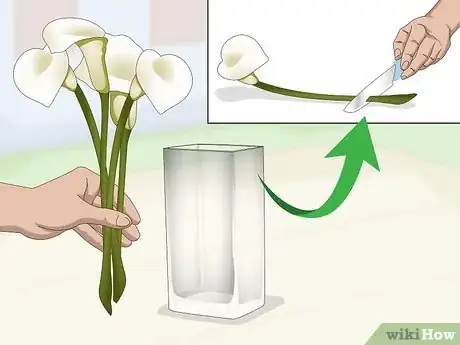 Imagen titulada Keep Cut Calla Lilies Fresh Step 5