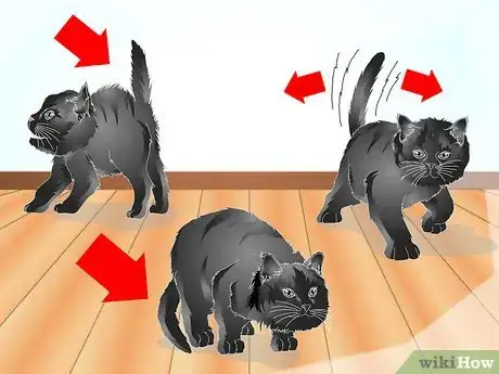 Imagen titulada Teach Your Cat to Talk Step 3