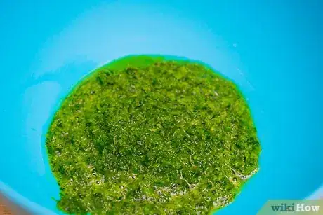 Imagen titulada Make Chimichurri Step 12