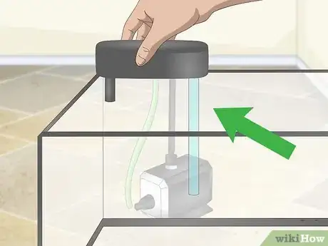 Imagen titulada Set up a Guppy Tank Step 2