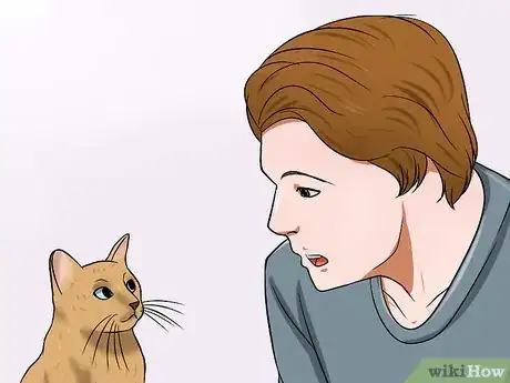 Imagen titulada Prepare a Cat for Air Travel Step 15