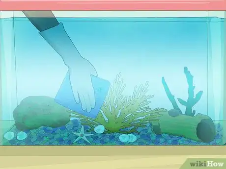 Imagen titulada Clean a Fish Tank Step 6