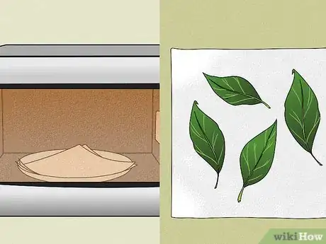 Imagen titulada Dry Leaves Step 11