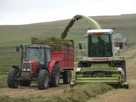 Imagen titulada Silage