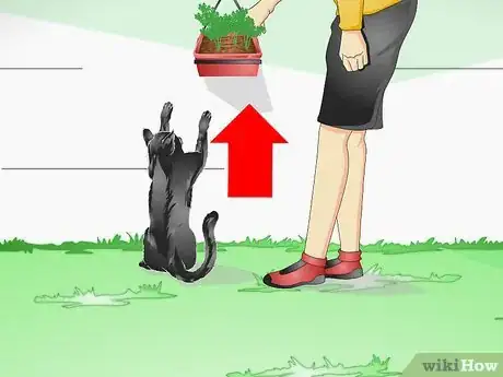 Imagen titulada Keep a Cat out of Potted Plants Step 10