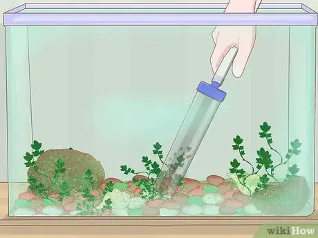 Imagen titulada Clean a Fish Tank Step 5