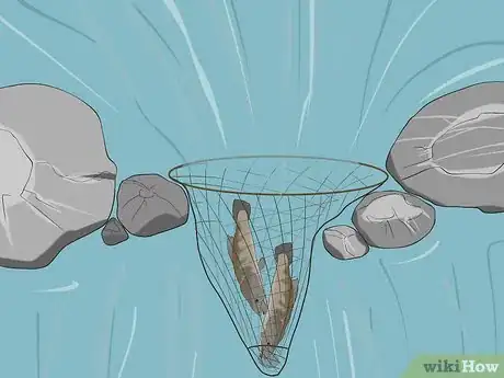 Imagen titulada Catch Fish Without Using a Rod Step 18.jpeg