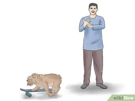 Imagen titulada Teach a Bulldog to Skateboard Step 6