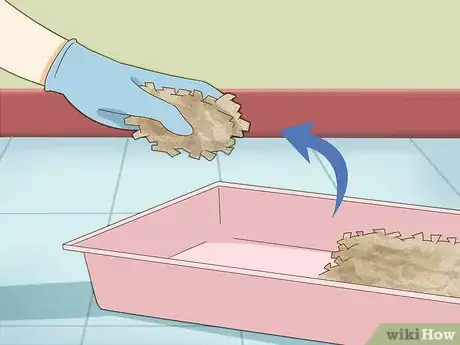 Imagen titulada Give Your Hamster a Bath Step 2