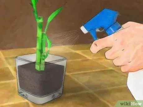 Imagen titulada Grow Lucky Bamboo Step 7