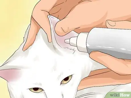 Imagen titulada Get Rid of Ear Mites in a Cat Step 10