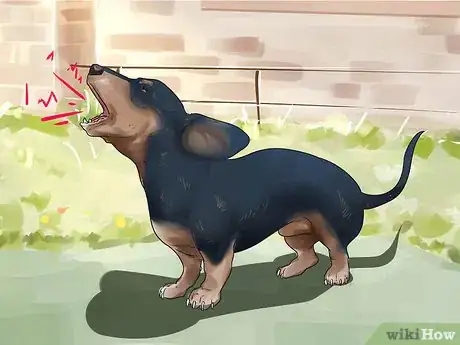 Imagen titulada Get Your Two Dogs to Stop Fighting Step 8