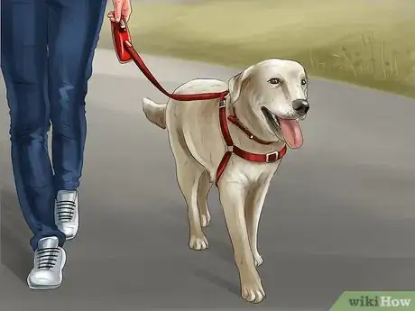 Imagen titulada Get Rid of Dog Urine Smell Step 11