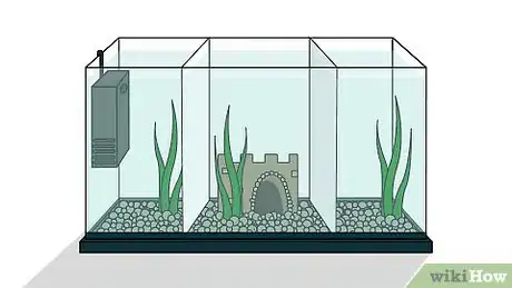 Imagen titulada Grow Copepods Step 12