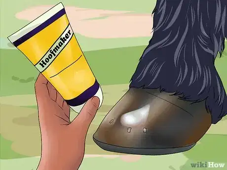 Imagen titulada Pick a Horse Hoof Step 13