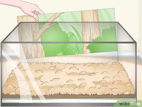 Imagen titulada Build a Vivarium Step 9