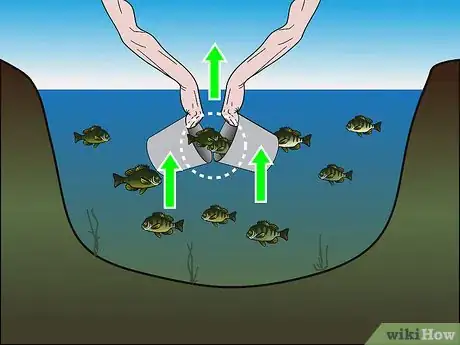 Imagen titulada Fish Without Fishing Gear Step 17