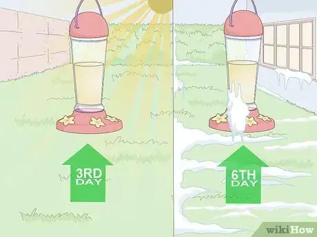 Imagen titulada Clean a Hummingbird Feeder Step 13