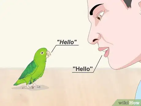 Imagen titulada Interact with Your Parrotlet Step 7