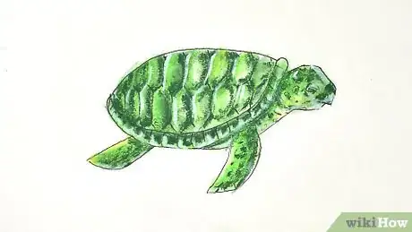 Imagen titulada Draw a Turtle Step 19