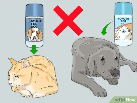 Imagen titulada Prevent Flea Bites Step 23