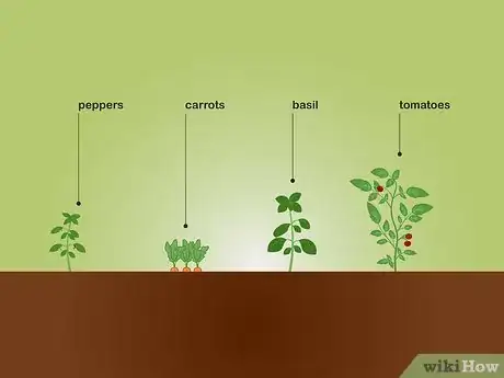 Imagen titulada Choose Plants for a Garden Step 15