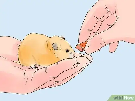 Imagen titulada Avoid Scaring Your Hamster Step 6