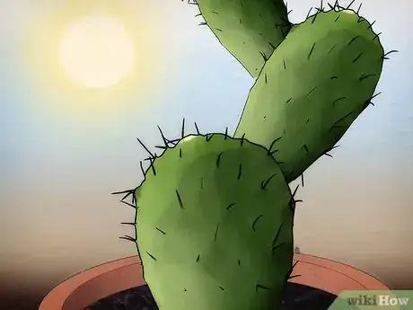 Imagen titulada Save a Dying Cactus Step 3