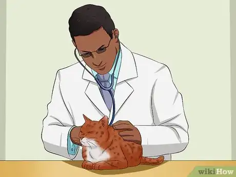 Imagen titulada Ensure That Your Cat Finishes Its Food Step 11