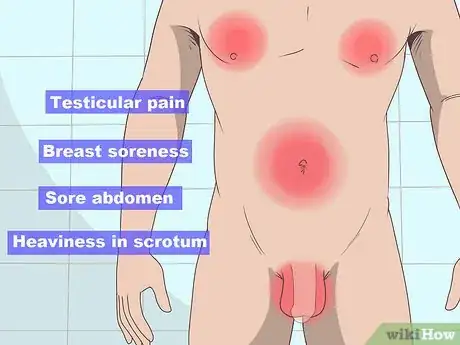 Imagen titulada Diagnose Testicular Cancer Step 5