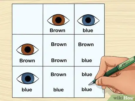 Imagen titulada Predict Your Baby's Eye Color Step 11