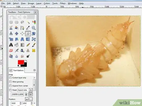 Imagen titulada Extract an Image in GIMP Step 1