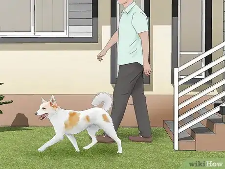 Imagen titulada Deskunk Your Dog Step 5