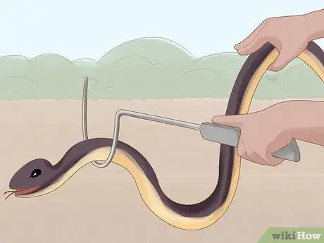 Imagen titulada Get Rid of Snakes Step 5