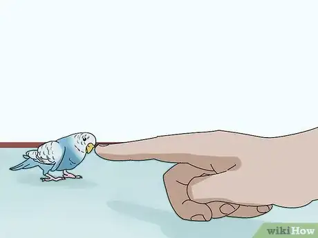 Imagen titulada Stop a Parakeet from Biting Step 8