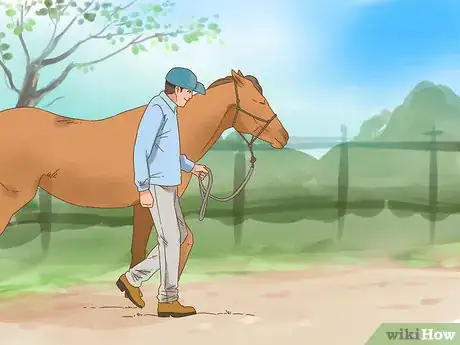 Imagen titulada Put Down a Horse Step 10