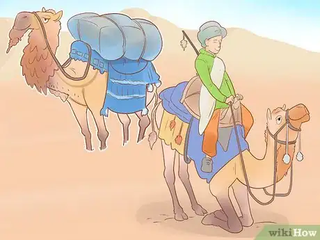 Imagen titulada Buy a Camel Step 8