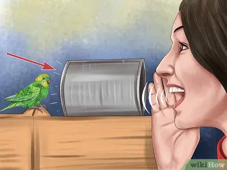 Imagen titulada Play With Your Parakeet Step 8