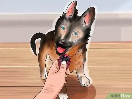 Imagen titulada Train a German Shepherd Step 13